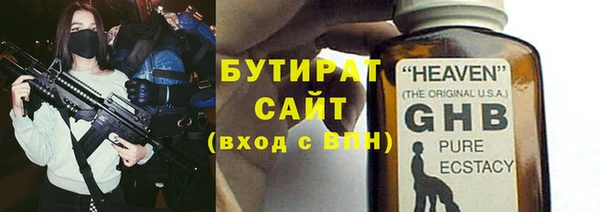 хмурый Аркадак