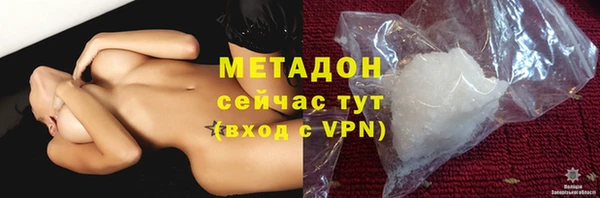 хмурый Аркадак