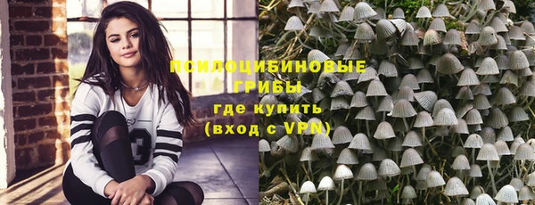 молекула духа Алзамай