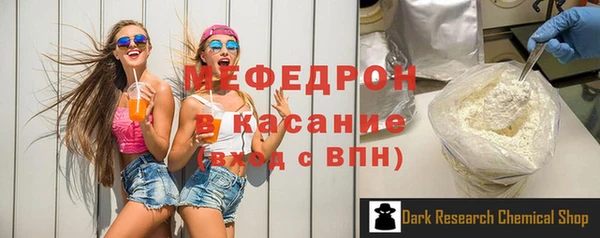 хмурый Аркадак