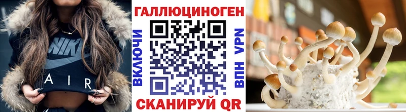 Галлюциногенные грибы Cubensis  Купить  Калач 